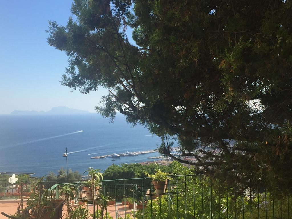 Casa Di Erminia Bed and Breakfast Napoli Eksteriør billede