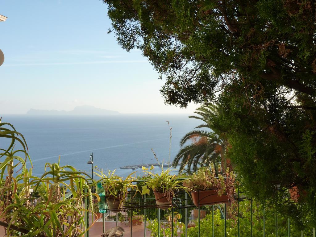 Casa Di Erminia Bed and Breakfast Napoli Eksteriør billede