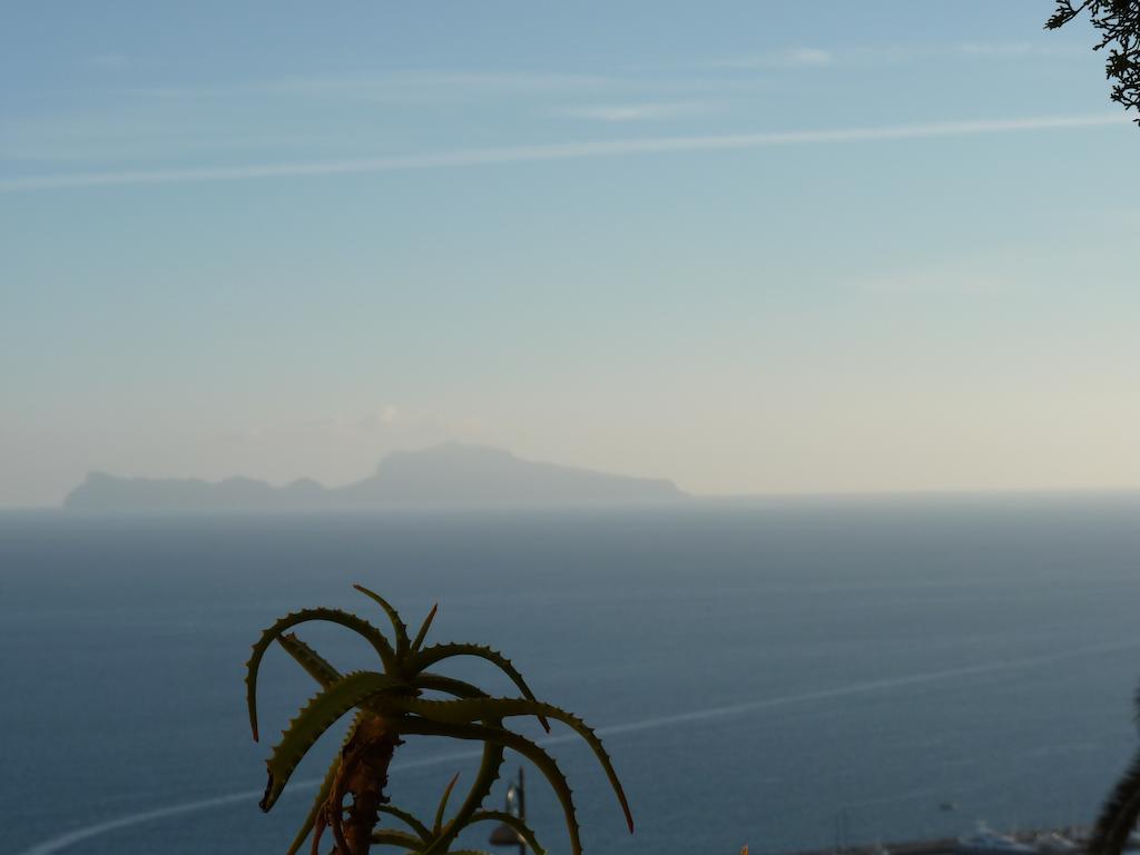 Casa Di Erminia Bed and Breakfast Napoli Eksteriør billede